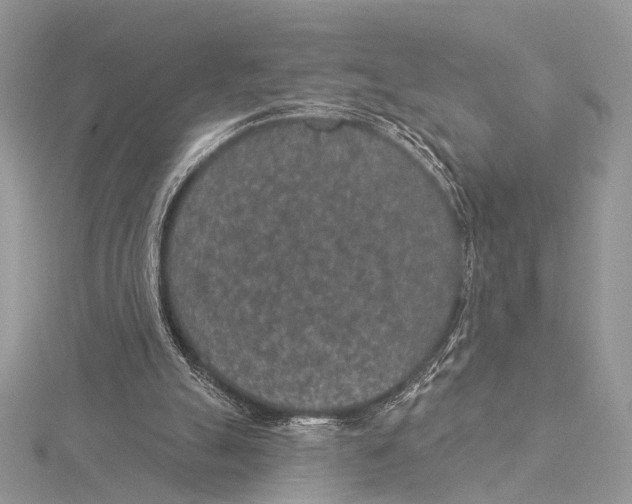 X0000115530055200912040958