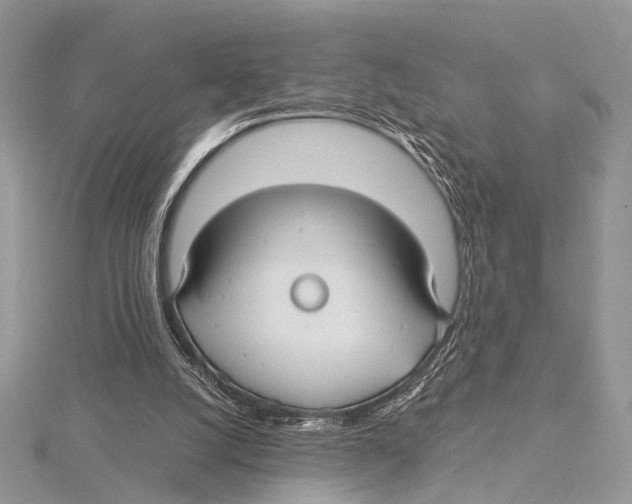 X0000115530056200912040958