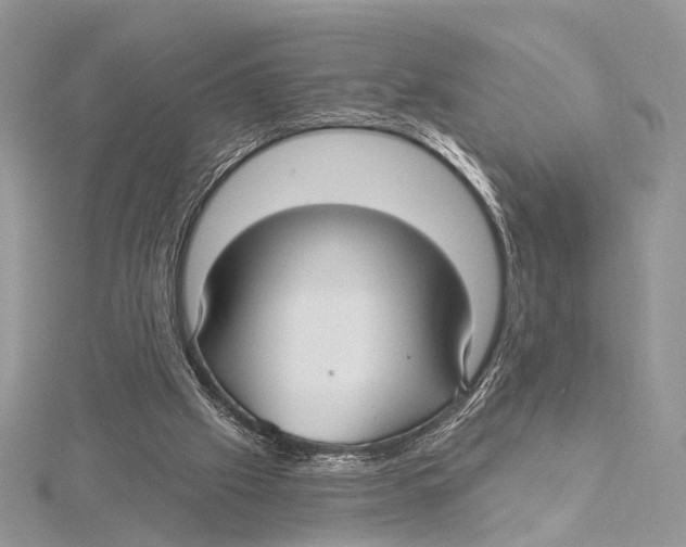 X0000115530057200912040958