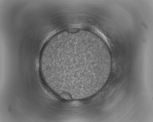 X0000115530059200912040958