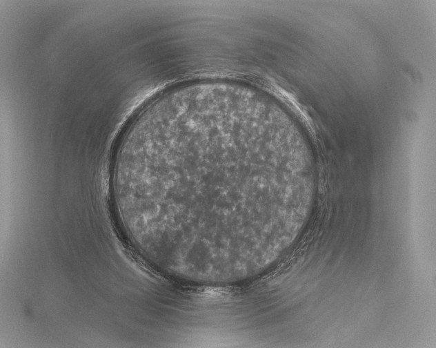 X0000115530060200912040958