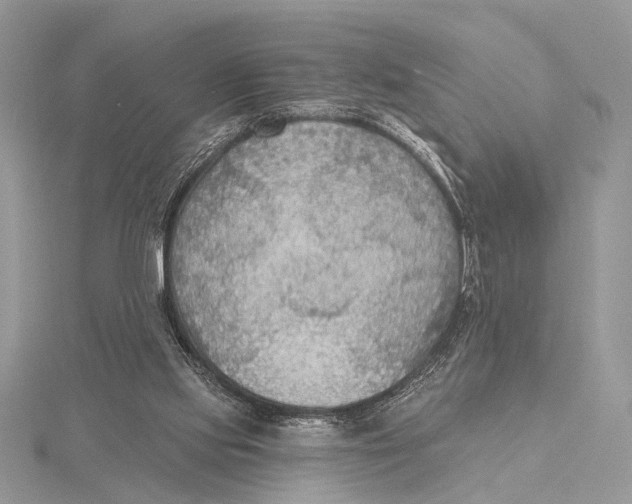 X0000115530061200912040958