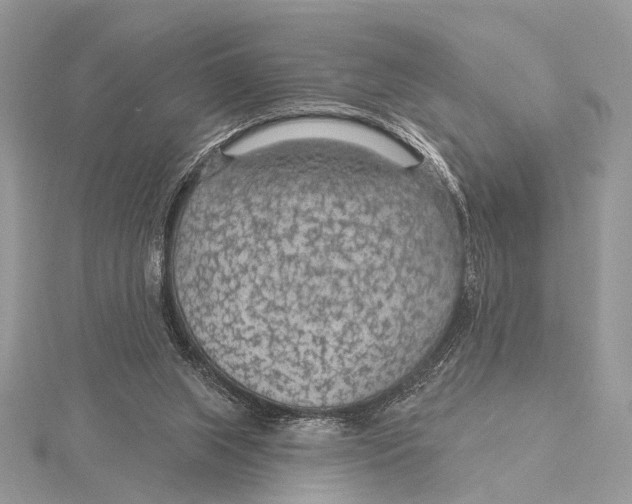 X0000115530063200912040958