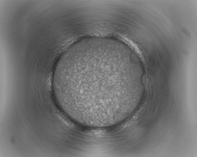 X0000115530065200912040958