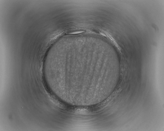 X0000115530066200912040958