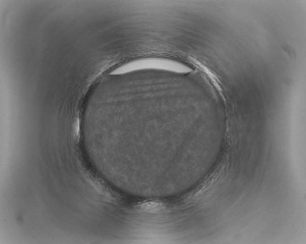 X0000115530067200912040958