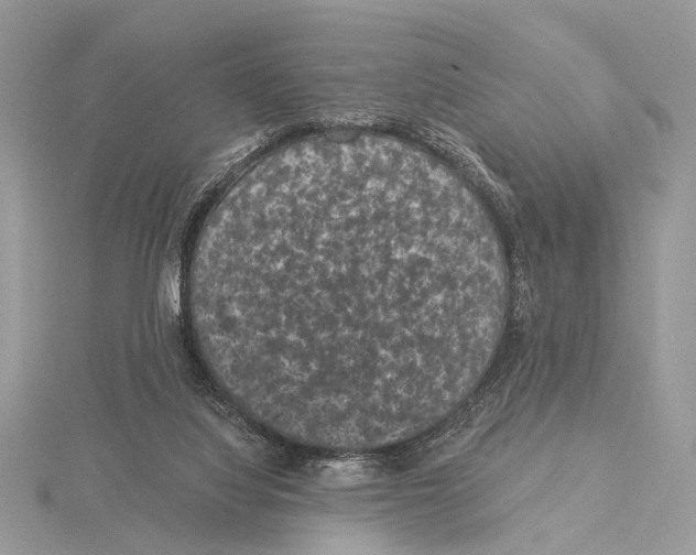 X0000115530068200912040958