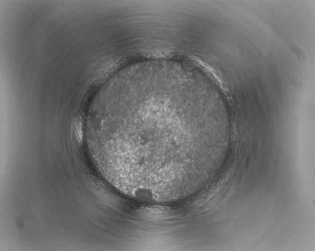 X0000115530069200912040958