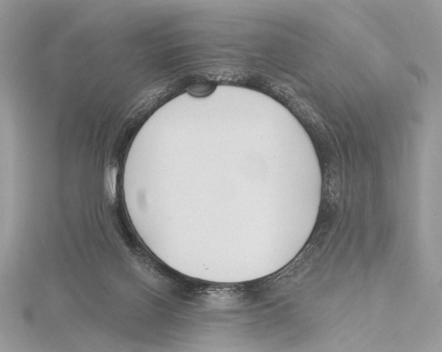 X0000115530070200912040958