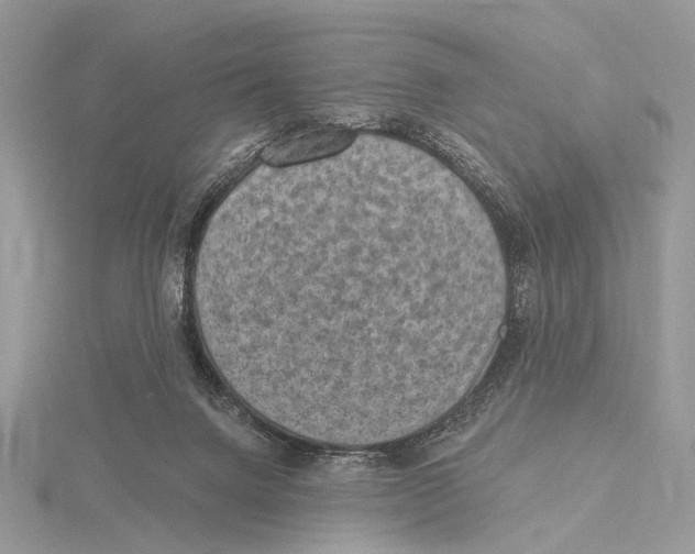 X0000115530072200912040958