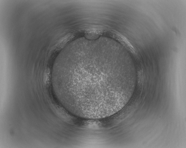 X0000115530073200912040958