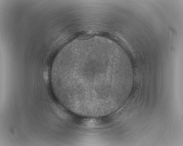 X0000115530074200912040958