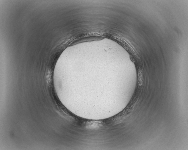 X0000115530077200912040958