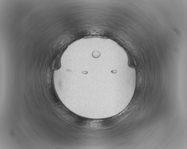 X0000115530078200912040958