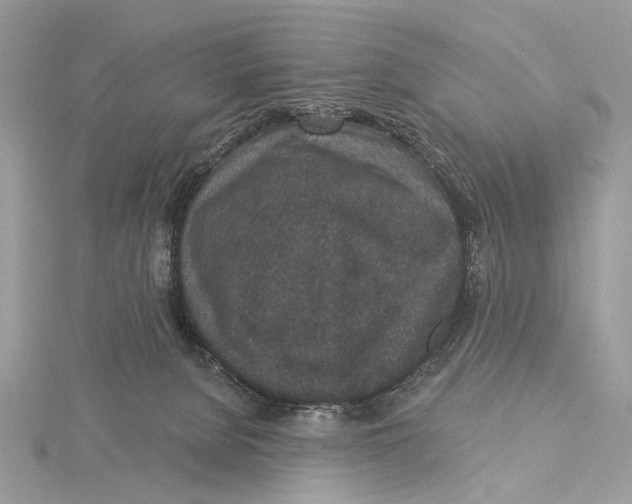 X0000115530080200912040959