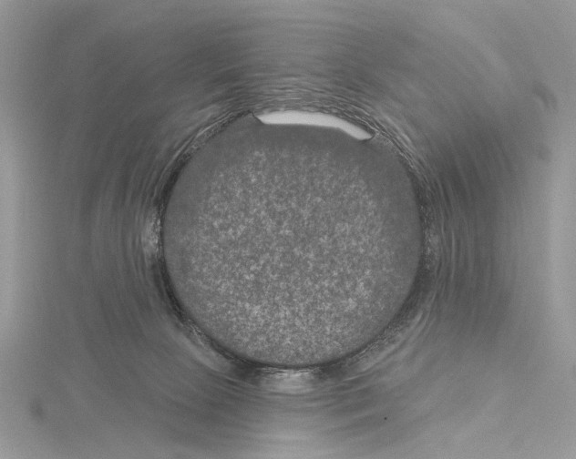 X0000115530081200912040959