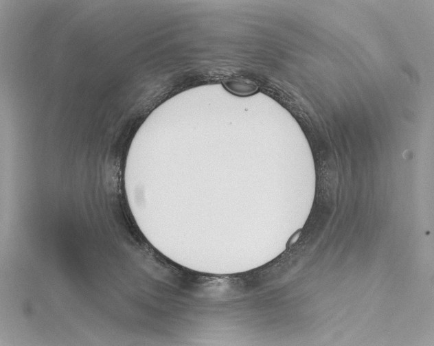 X0000115530083200912040959