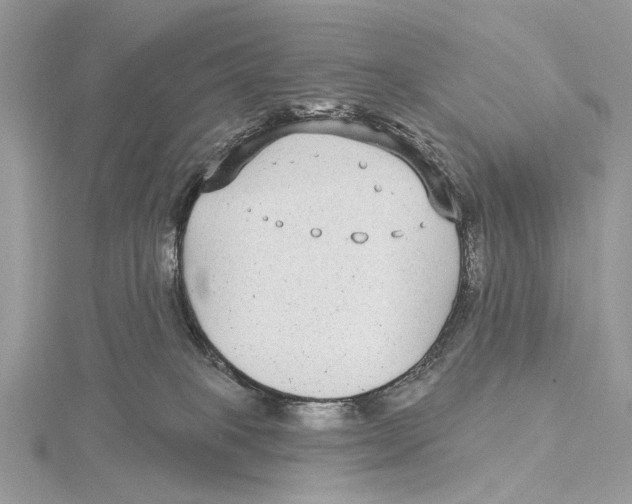 X0000115530085200912040959