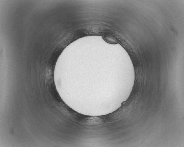 X0000115530087200912040959