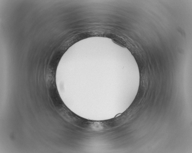 X0000115530091200912040959