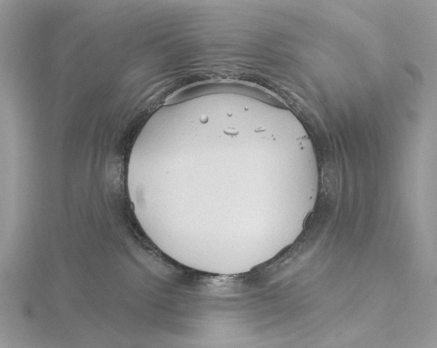 X0000115530092200912040959