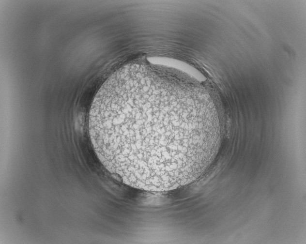 X0000115530093200912040959