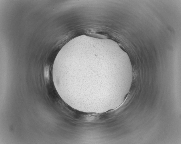 X0000115530094200912040959