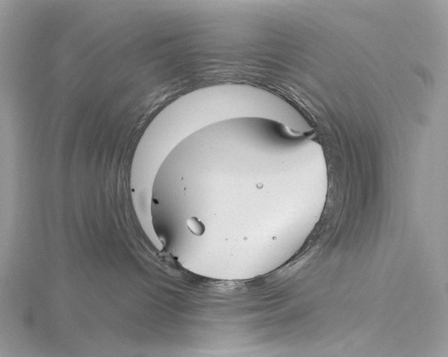 X0000115530096200912040959