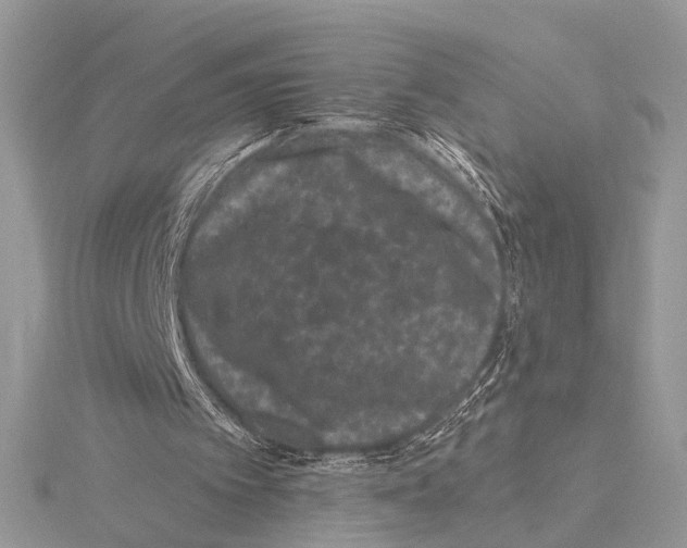 X0000115530097200912040958