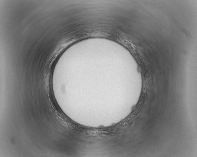 X0000115530098200912040958