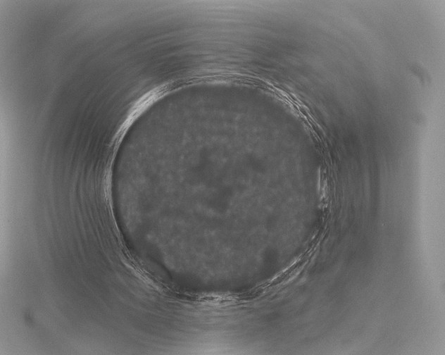 X0000115530099200912040958