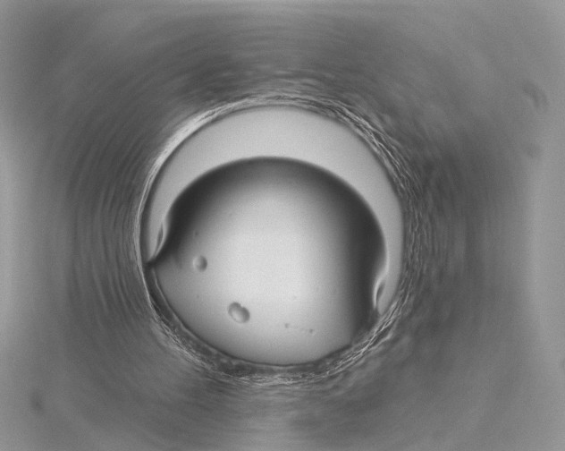 X0000115530100200912040958