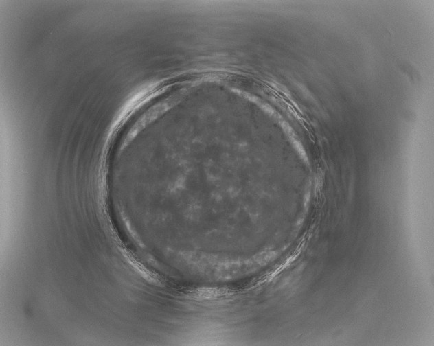 X0000115530101200912040958