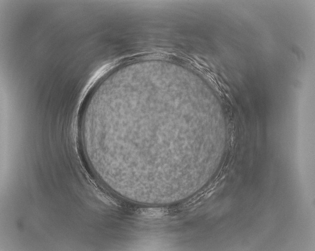 X0000115530102200912040958