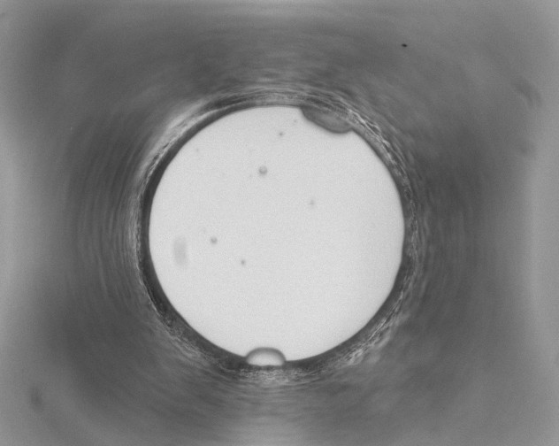 X0000115530103200912040958