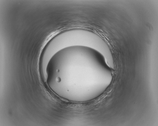 X0000115530104200912040958