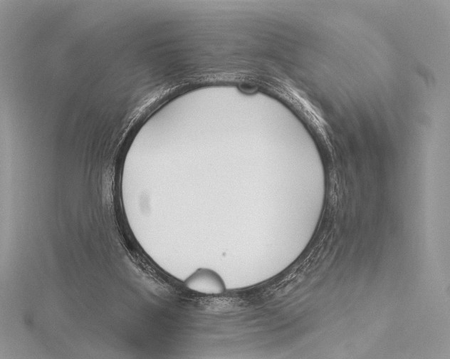 X0000115530107200912040958