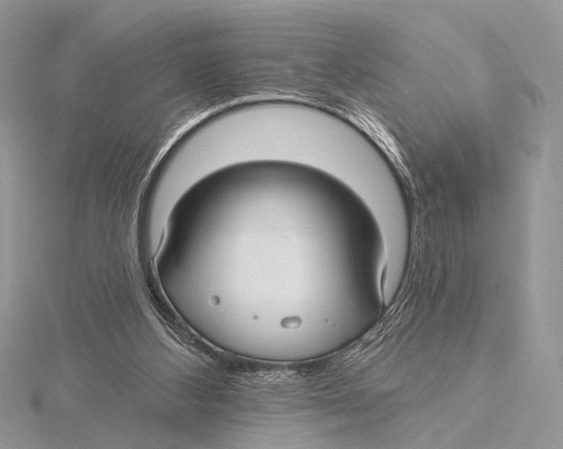 X0000115530108200912040958