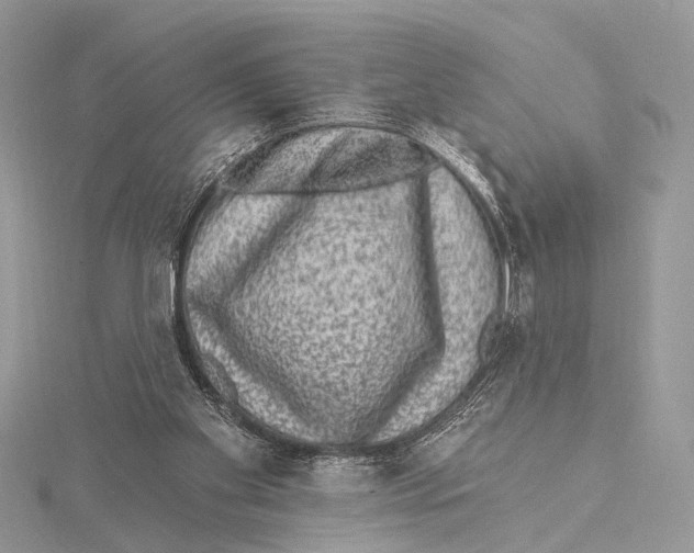 X0000115530109200912040958