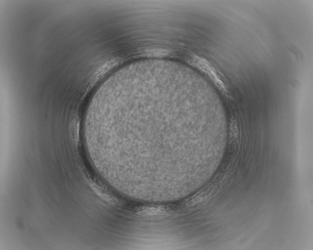 X0000115530110200912040958