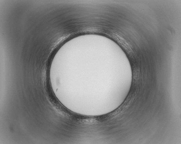 X0000115530112200912040958