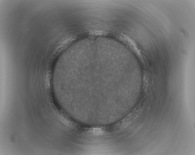 X0000115530114200912040958