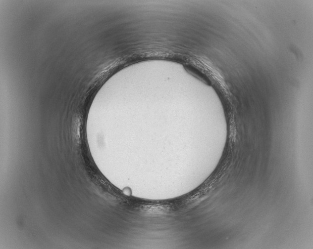 X0000115530115200912040958