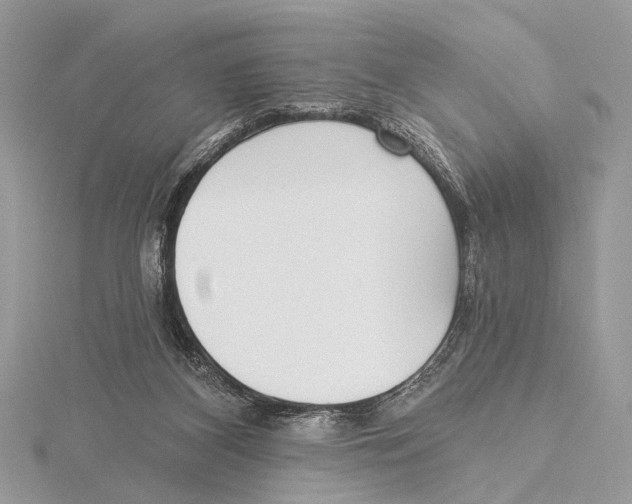 X0000115530116200912040958