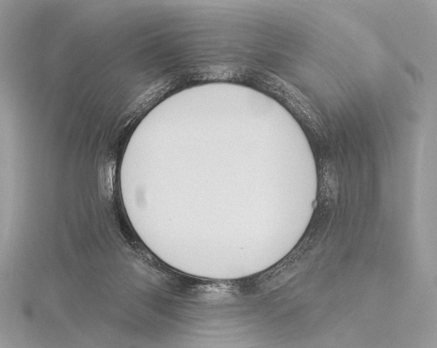 X0000115530118200912040958