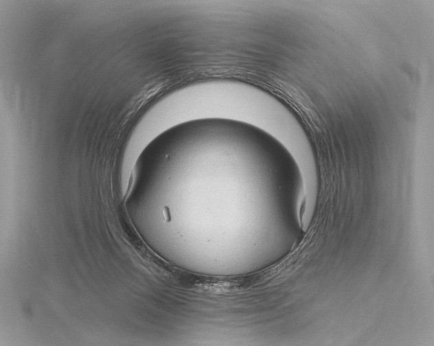 X0000115530120200912040958