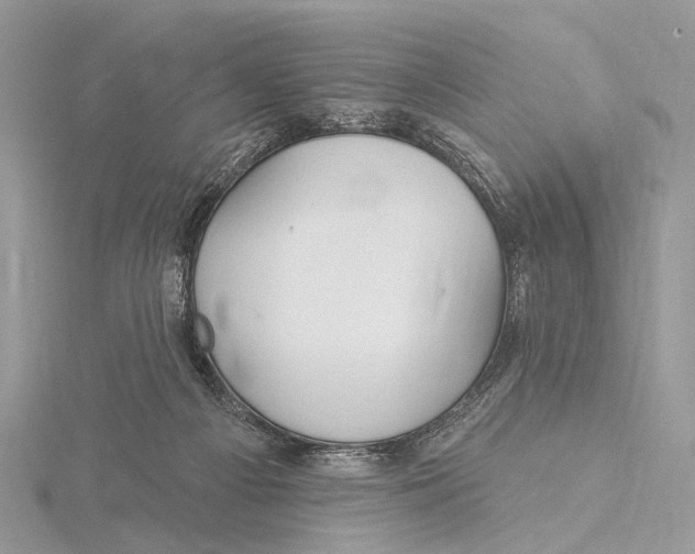 X0000115530121200912040958