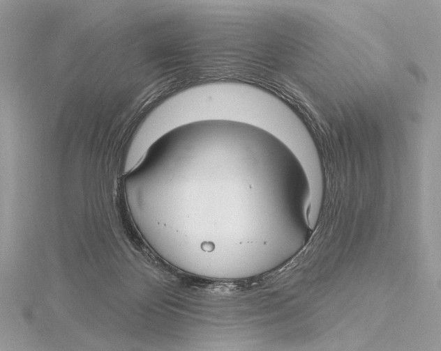 X0000115530124200912040958