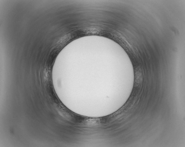 X0000115530126200912040958