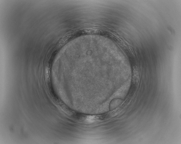 X0000115530130200912040958